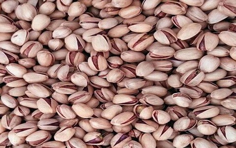 تصویر 4 از فروش پسته تازه دامغان + قیمت خرید به صرفه